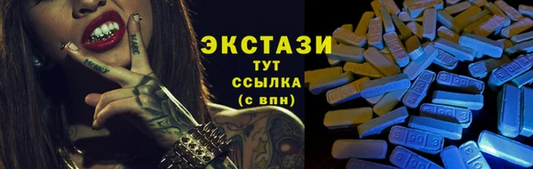 индика Володарск