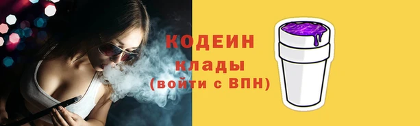 индика Володарск