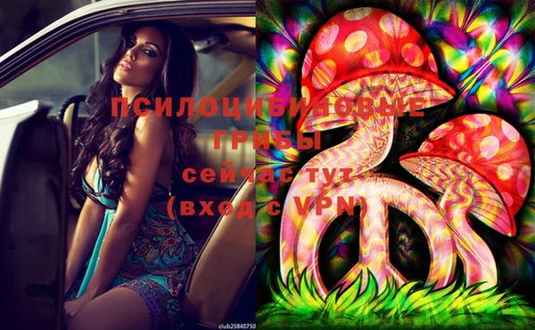 тгк Вязники