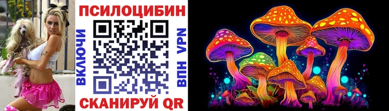 Псилоцибиновые грибы прущие грибы  Купить закладки  Чишмы 